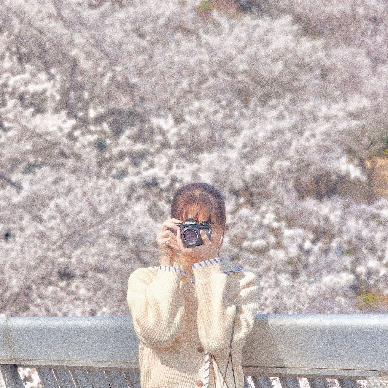 SOBAMI 소바미 profile image