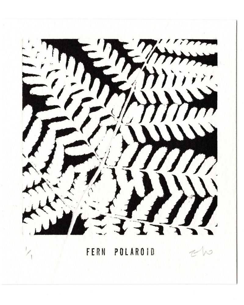  Fern I  │ 고사리 I  -35665