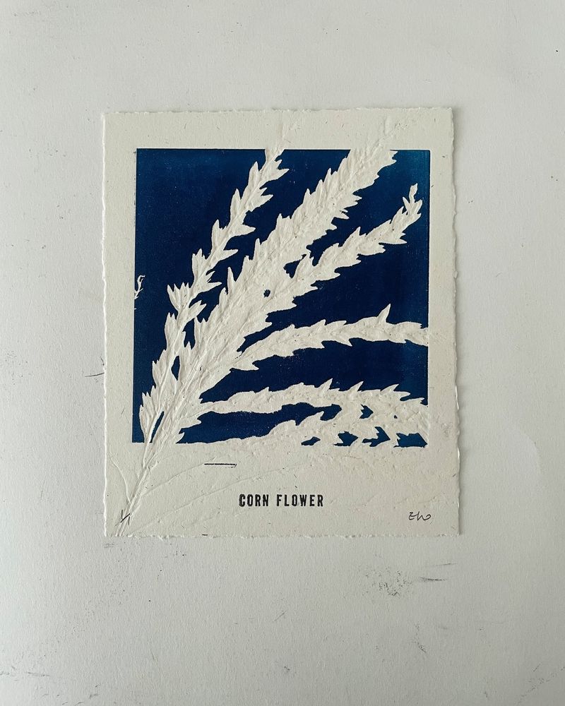 Corn Flower 2 │ 옥수수꽃 2-35703