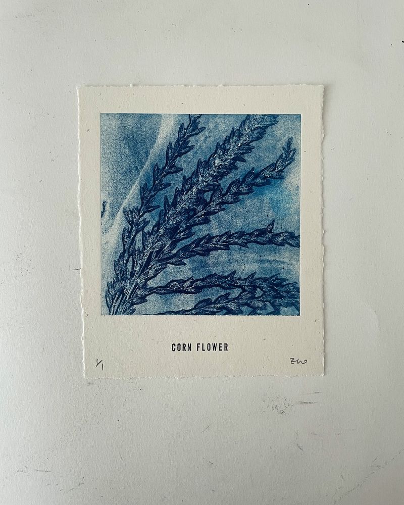 Corn Flower 3 │ 옥수수꽃 3-35705