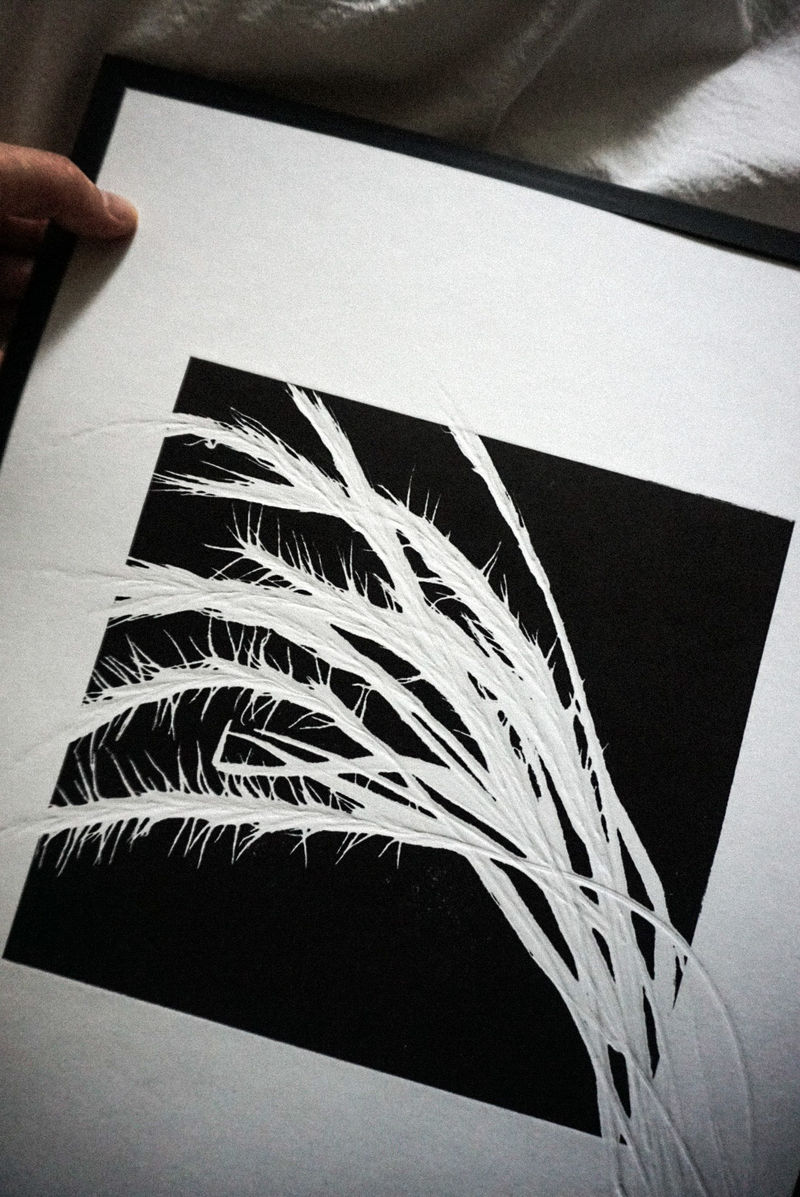 Rat's Tail Fescue │ 들묵새-37256