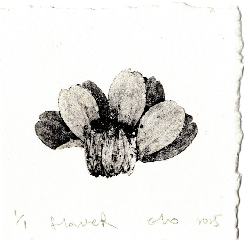 Flower  │ 꽃-35664