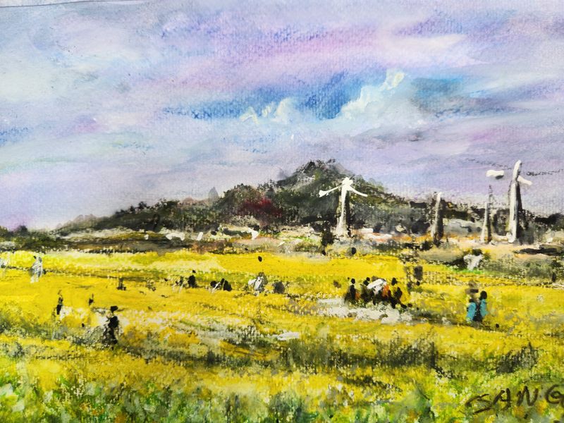 Scenery of canola fields in Jeju Island-44930