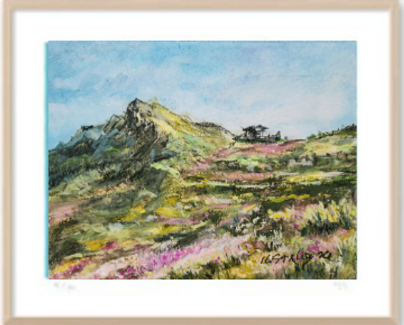 덕유산 정상의 진달래-44931