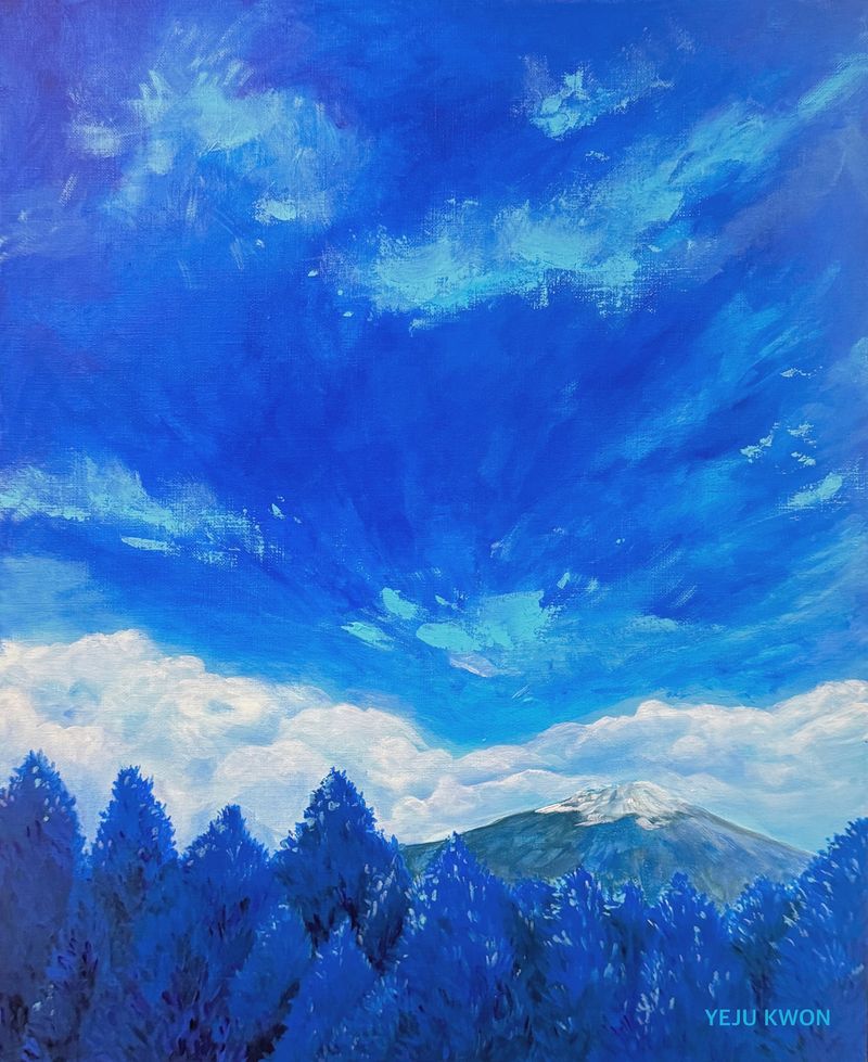 나무의 기억 ; 한라산 -4619