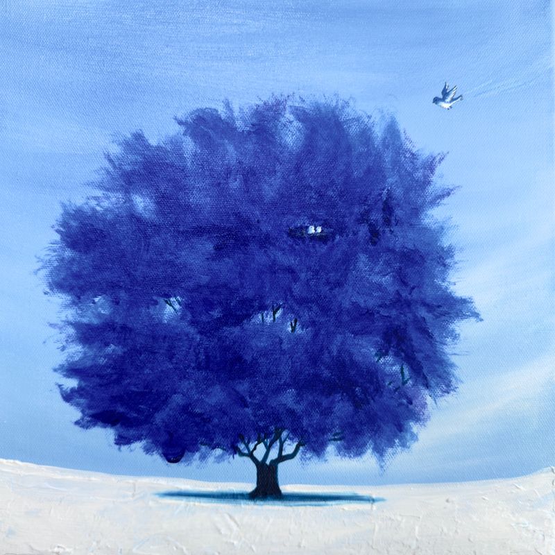 나무의 기억; 파랑새 가족 -37582