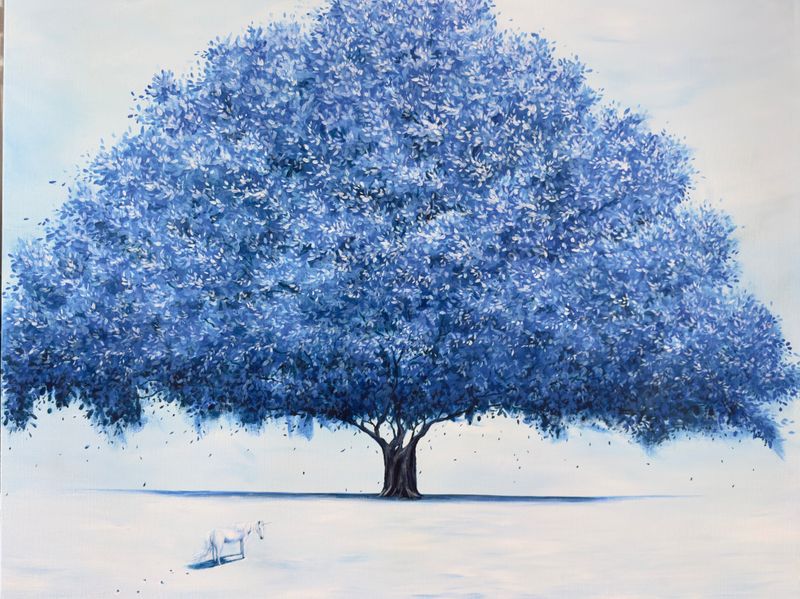 나무의 기억 ; A white desert -46669