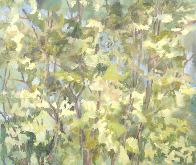 Dance of light-30917