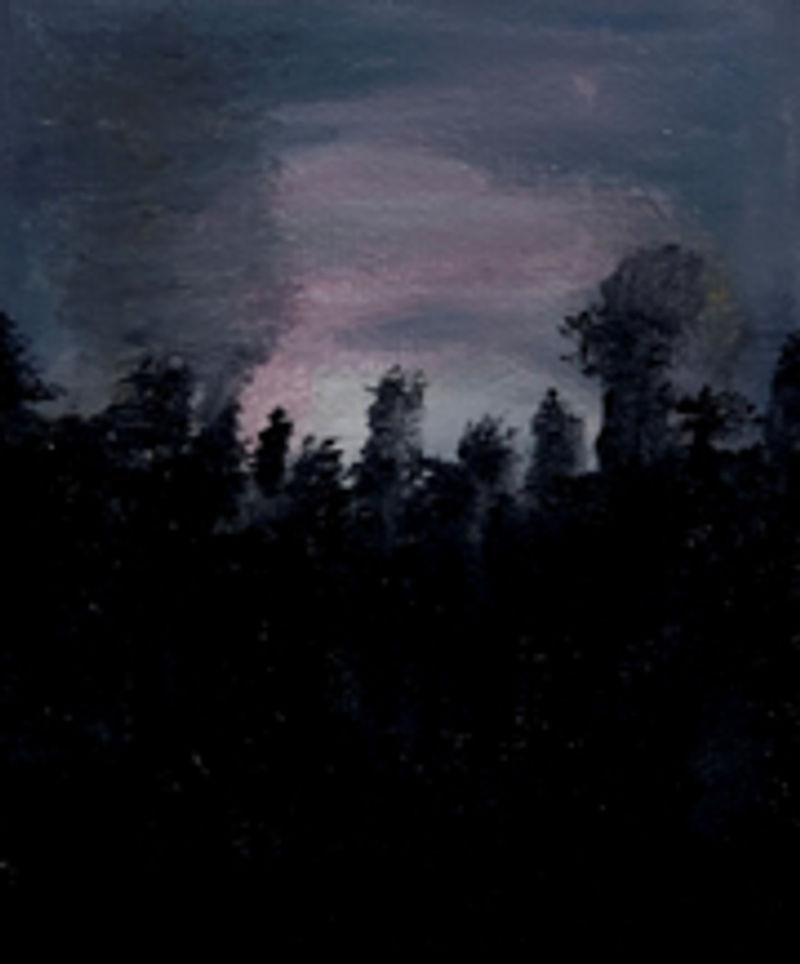 Ama, fo rest, forest, for east-32601