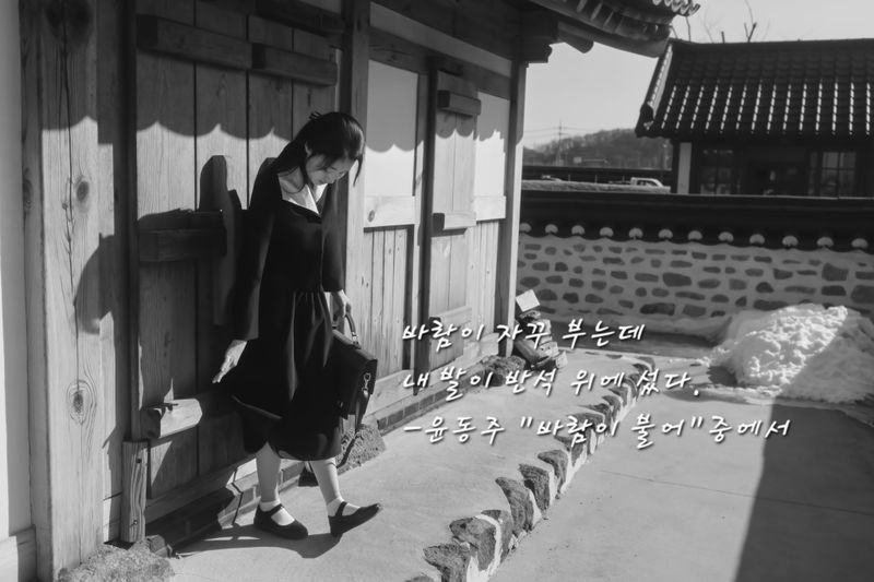 바람이 불어-45145