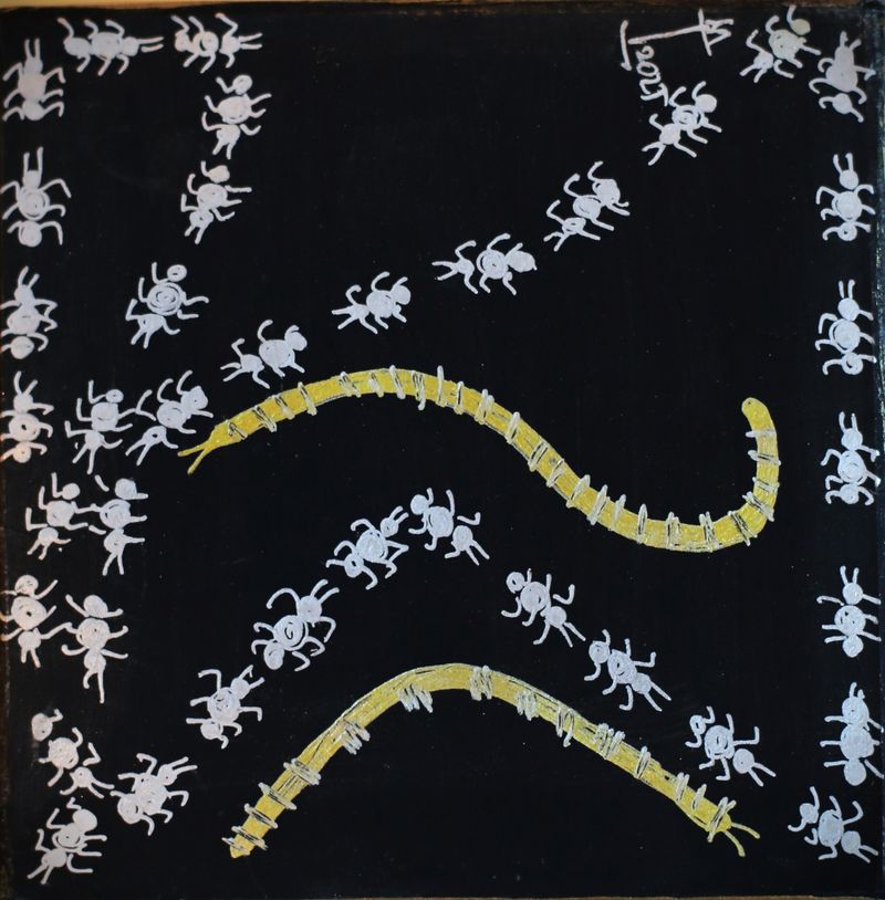 ants - 2-17991