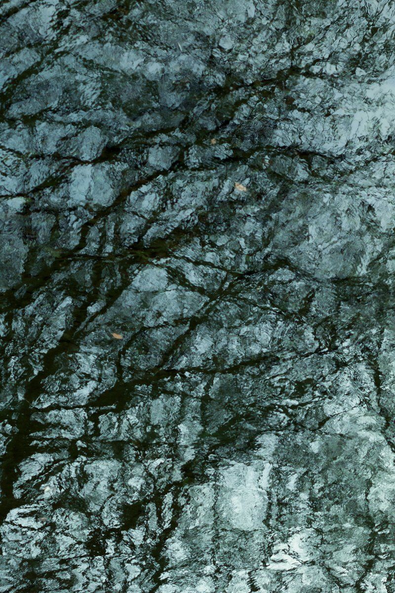 Forest of Reflection #3-49771
