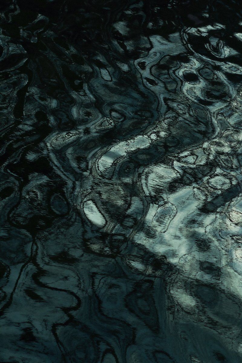 Forest of Reflection #8-49772