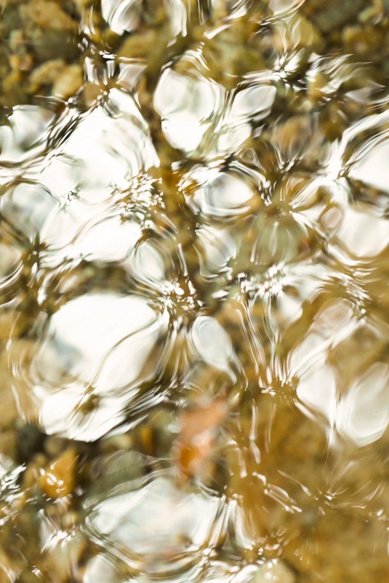 Water Flower #2-56652