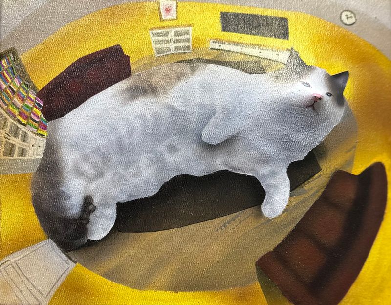 솜이가 반겨주는 집-41895