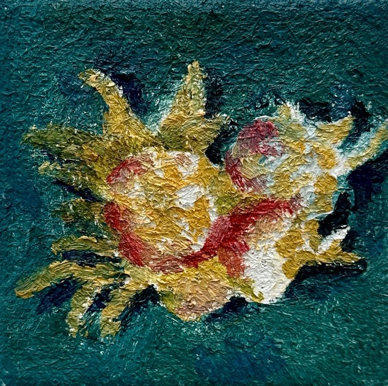 사념체로 만든 섬-6254