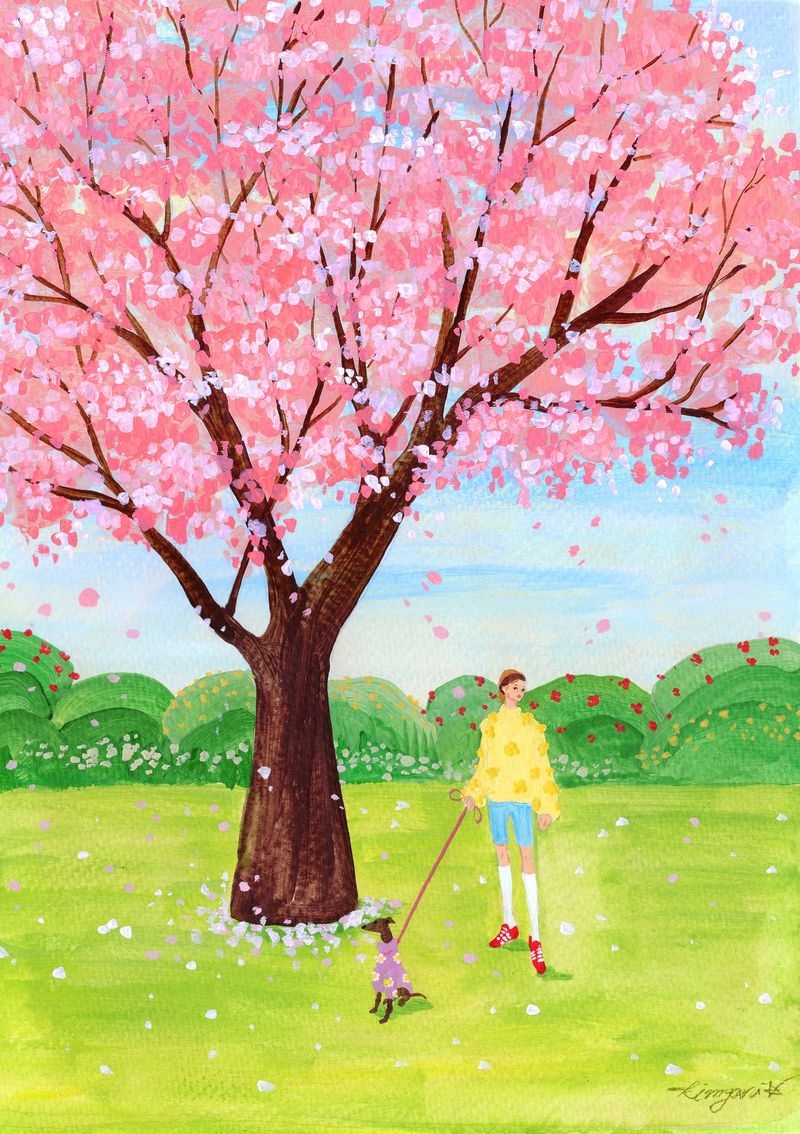 4월 벚꽃향기-35848