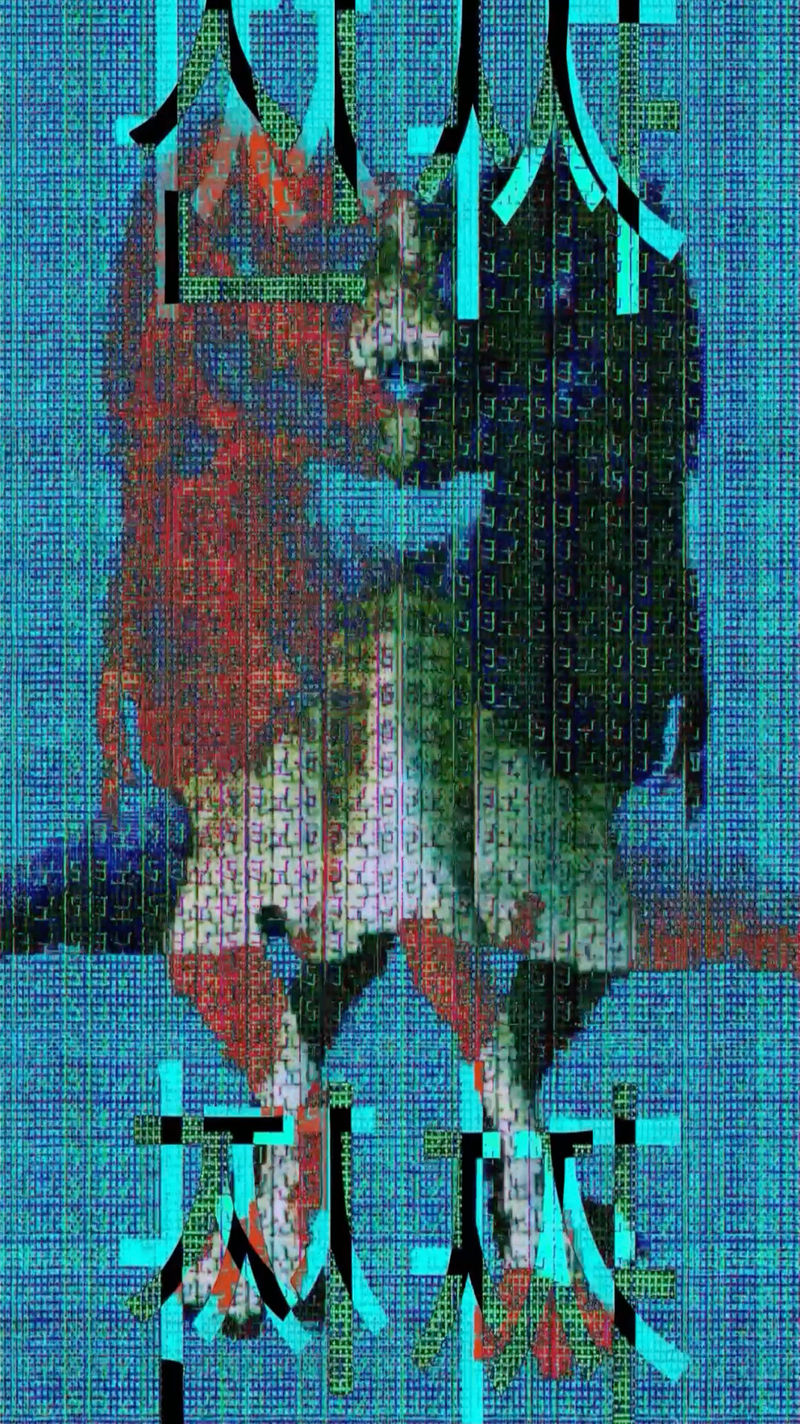 진짜? (2026)-55467