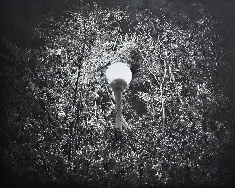 9986번째 밤의 가로등-2457