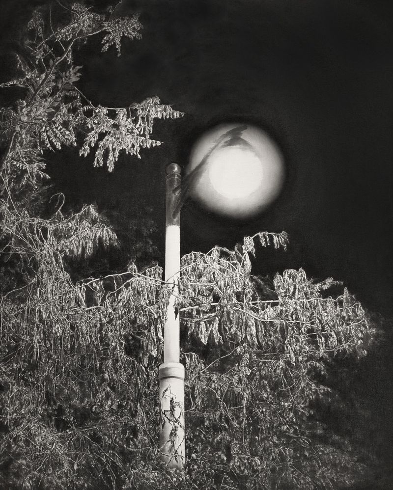 10060번째 밤의 가로등-2460