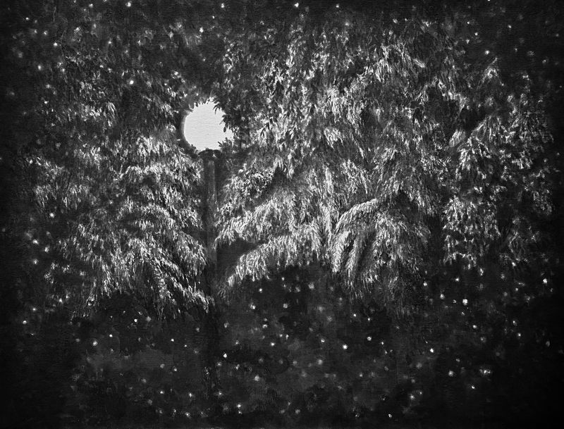 9941번째 밤의 가로등-2456