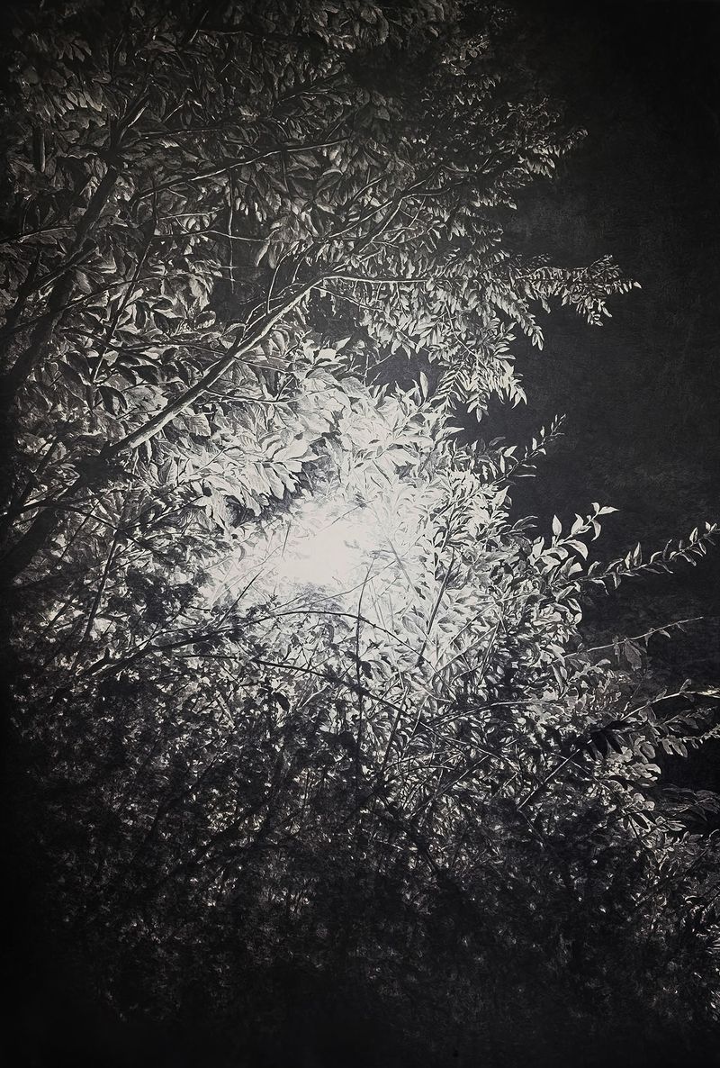 음과 양_인과 인(陰, 陽_人, 仁)-2461