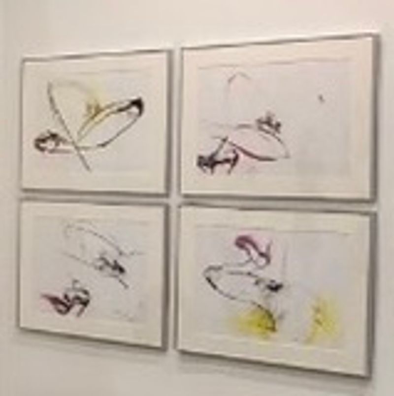 Between Forms : Body in Transition #4-20080