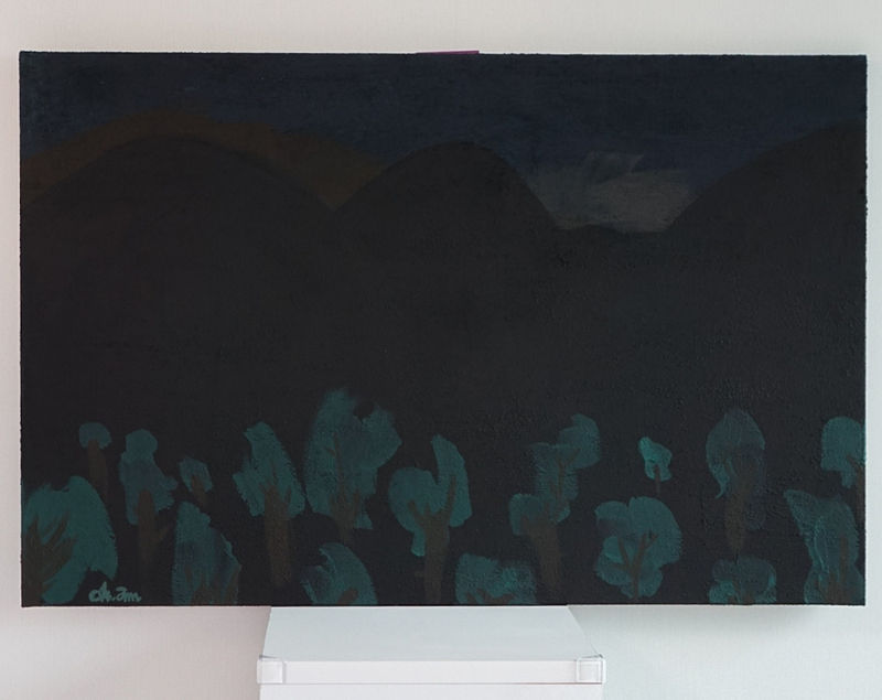 The night couldn't swallow the mountain 밤은 산을 삼키지 못했다-9332