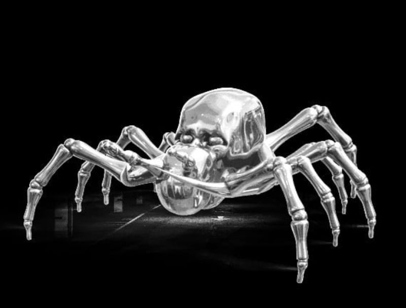 spider-devotee-11473