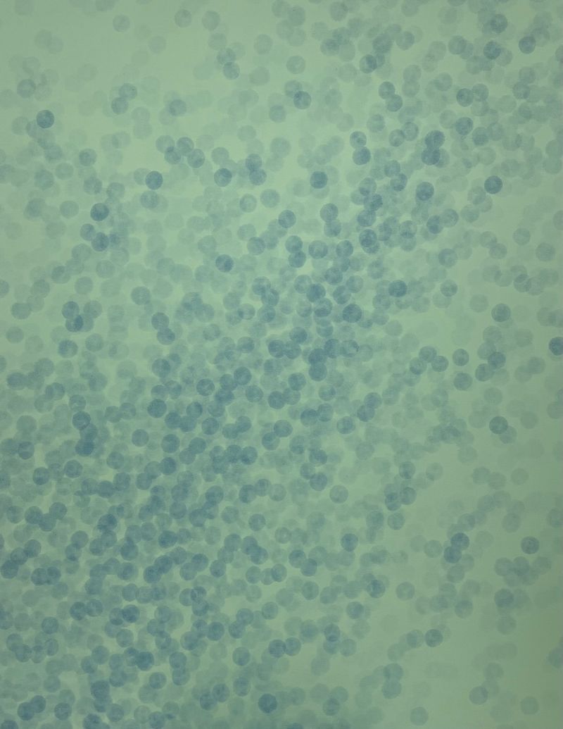 낙원 CMGX2B778-7 -11243