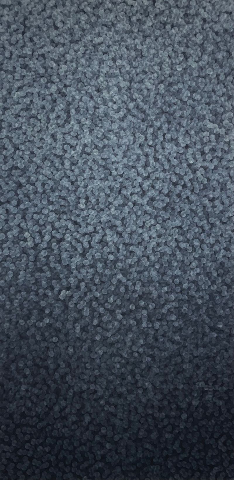 다시 흙으로 돌아가다  CBGX2Y269-8-11250