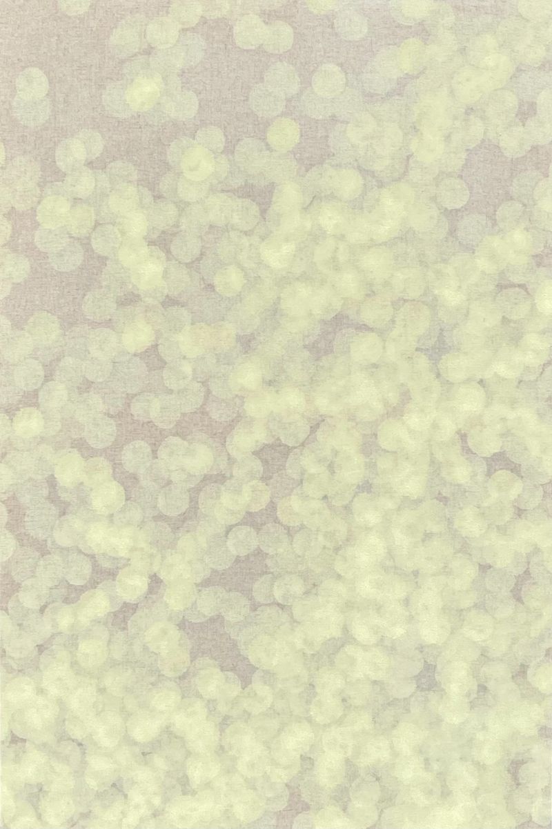 그곳에서 LTGX2Y269-10  -11337