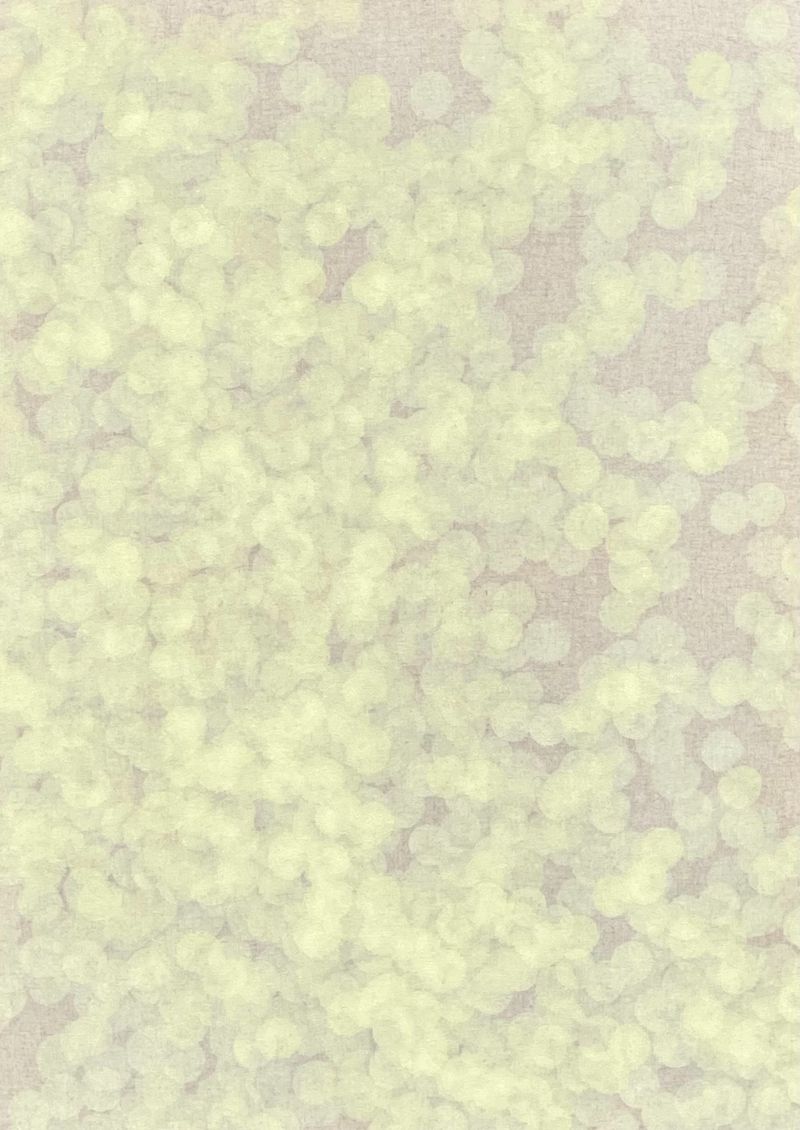 그곳에서… LTGX2Y269-9 -11340