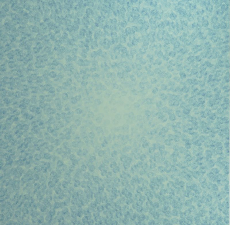 낙원 CMGX2B778-5-11341