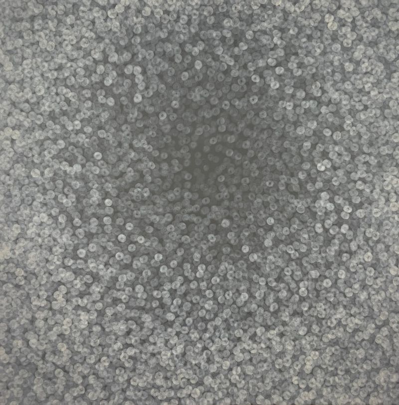 목적을 찾아서-2-11343