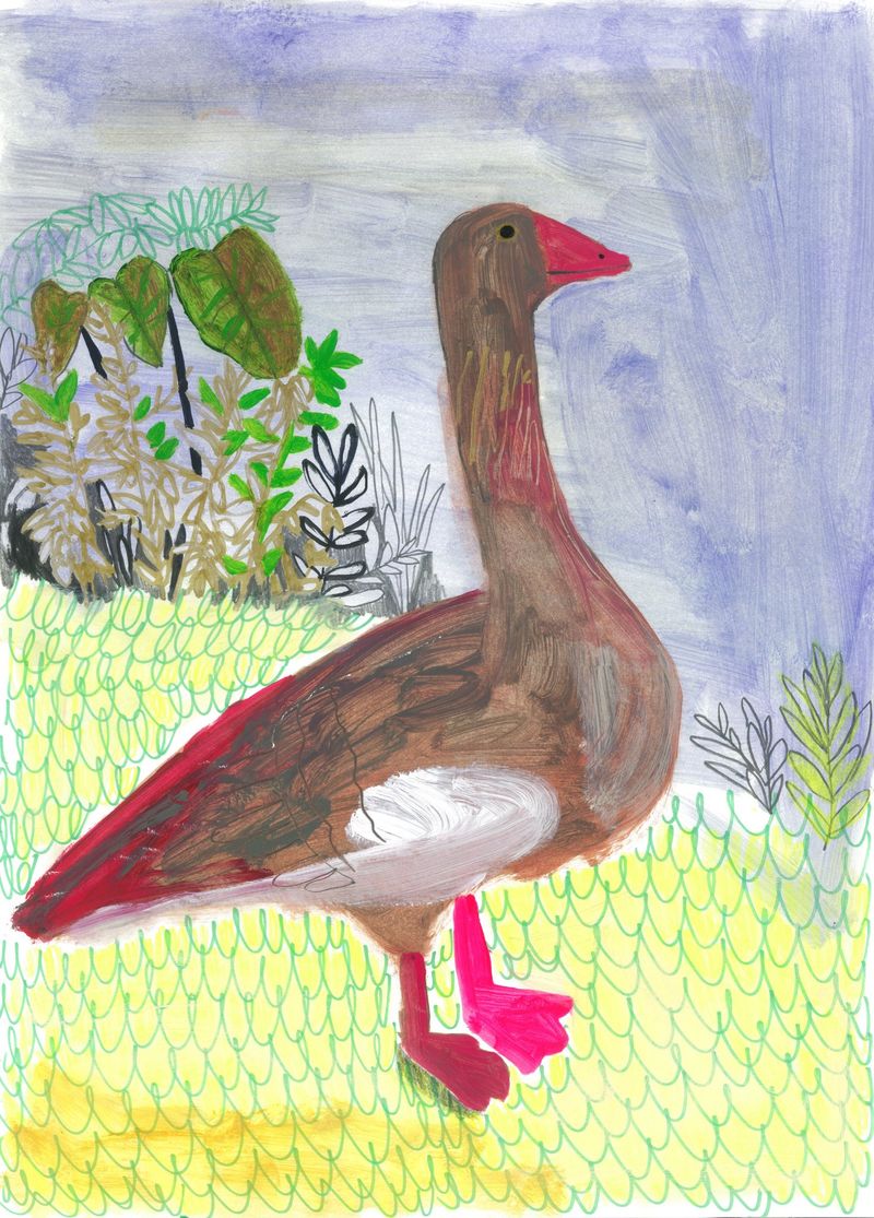 Goose-13290