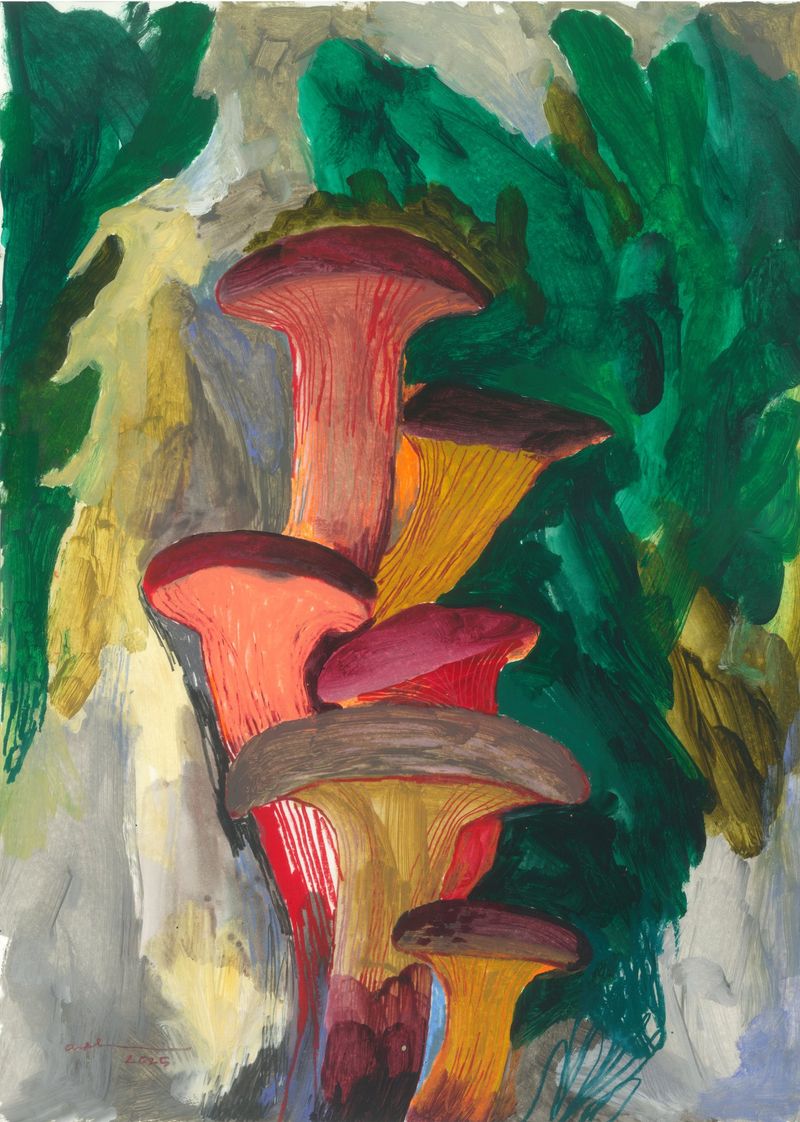 Mashroom forest-13298
