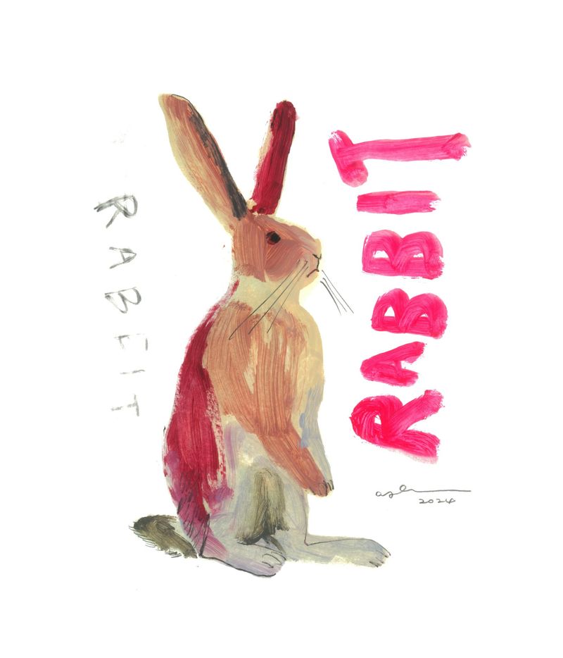Rabitt-13409
