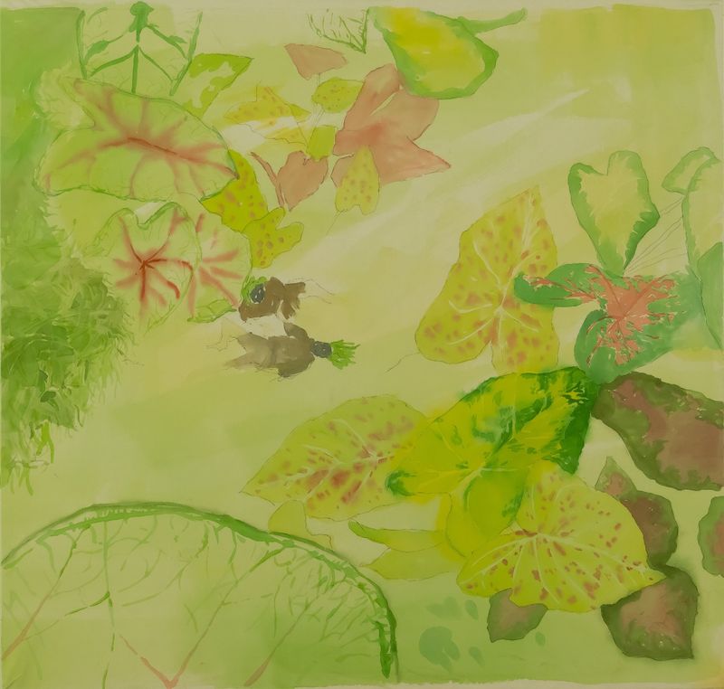 당신에게 보여주고 싶은 II-39837