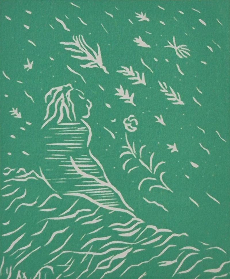 쏟아지는 꿈-39889