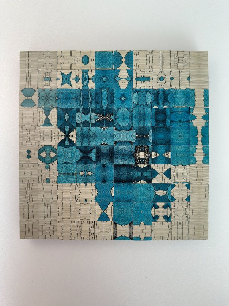 비 내린 다음 날 S-2025-MP-13-27127