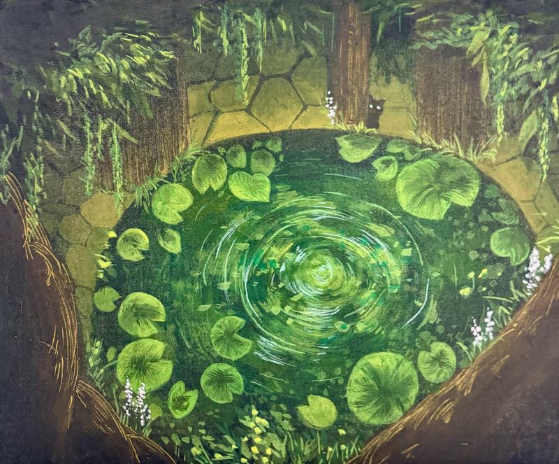 My little step in the forest-37921