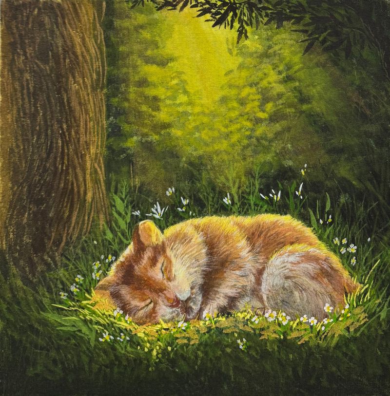 My little step in the forest-43043
