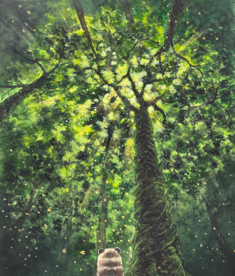 My little step in the forest-43349