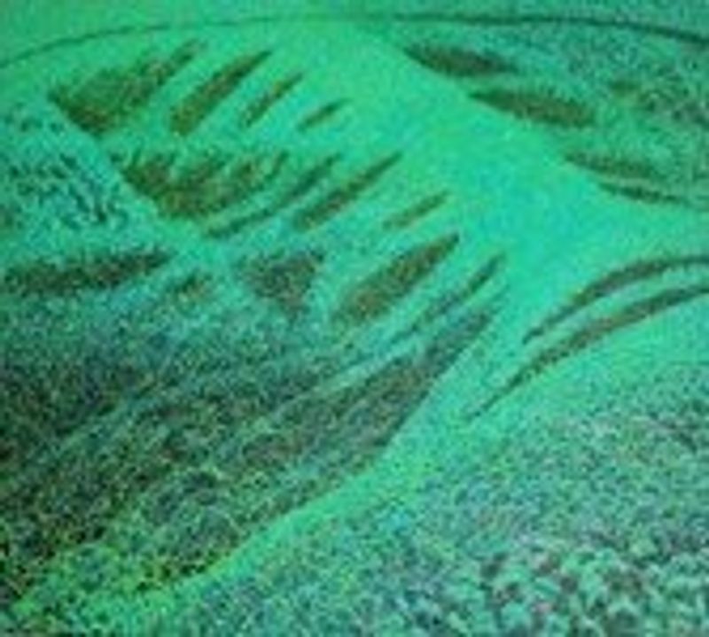 Suolo beato 26-01-31 (Land of Blessing)-51122