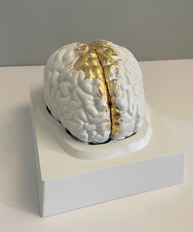 열려라 참뇌-2885