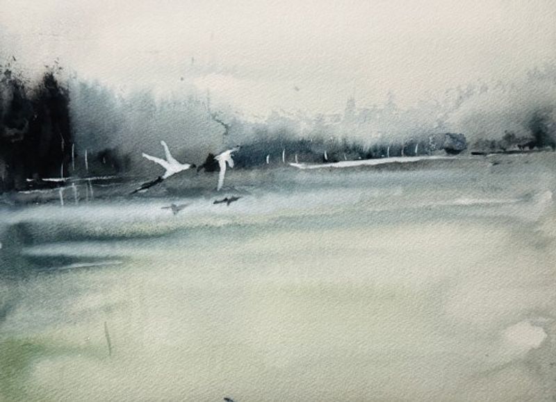 Out of foggy-11520