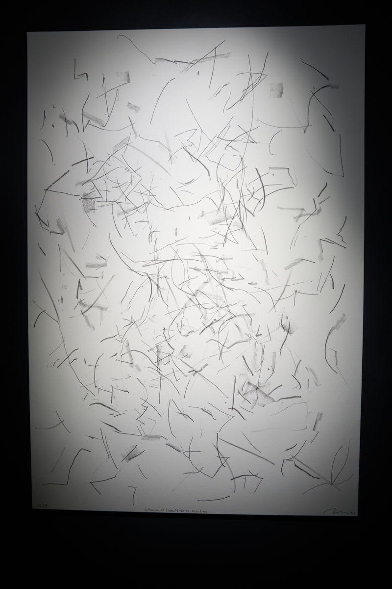 Collection of Lines, 6-50-30,0-0-0-8 Arc-3155