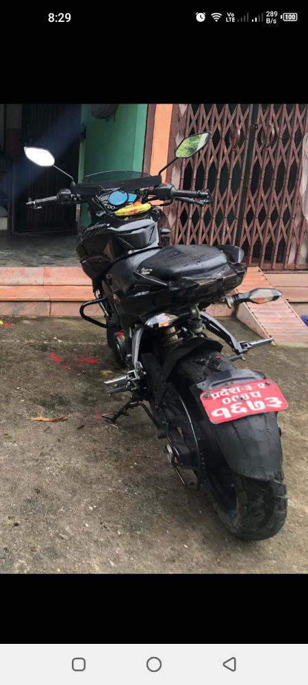 Used 2019 Bajaj Plusar 150 bike for sale in Gorkha - Image 2 of 3