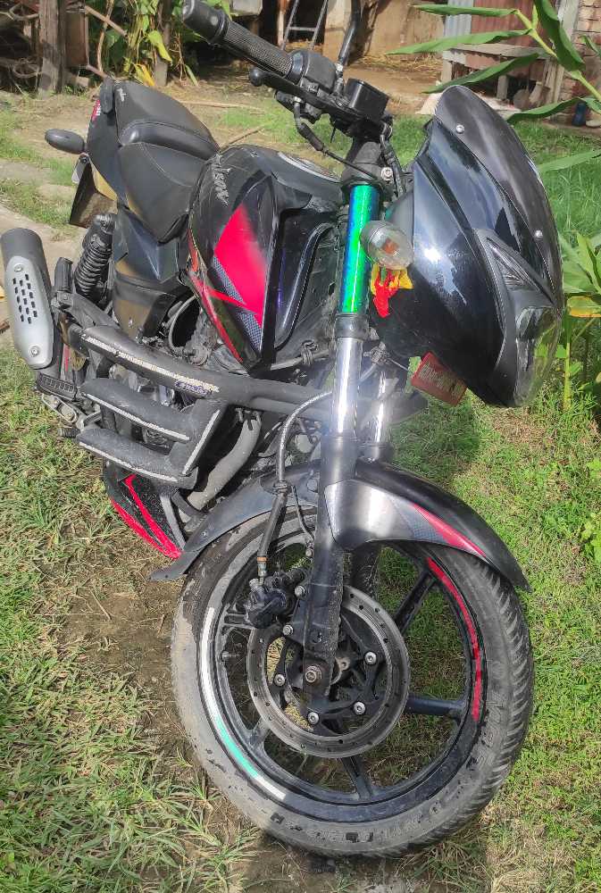 Used 2019 Bajaj Plusar 150 bike for sale in Bharatpur - Image 1 of 3